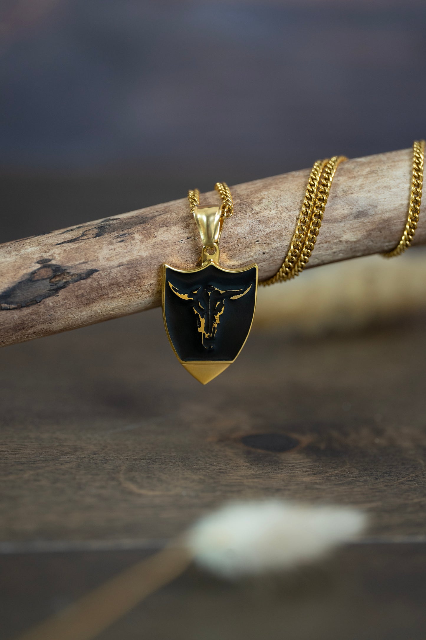 Longhorn Choty Necklace