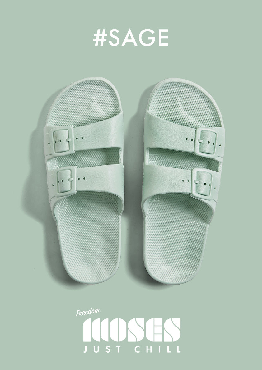 Freedom Moses Slides