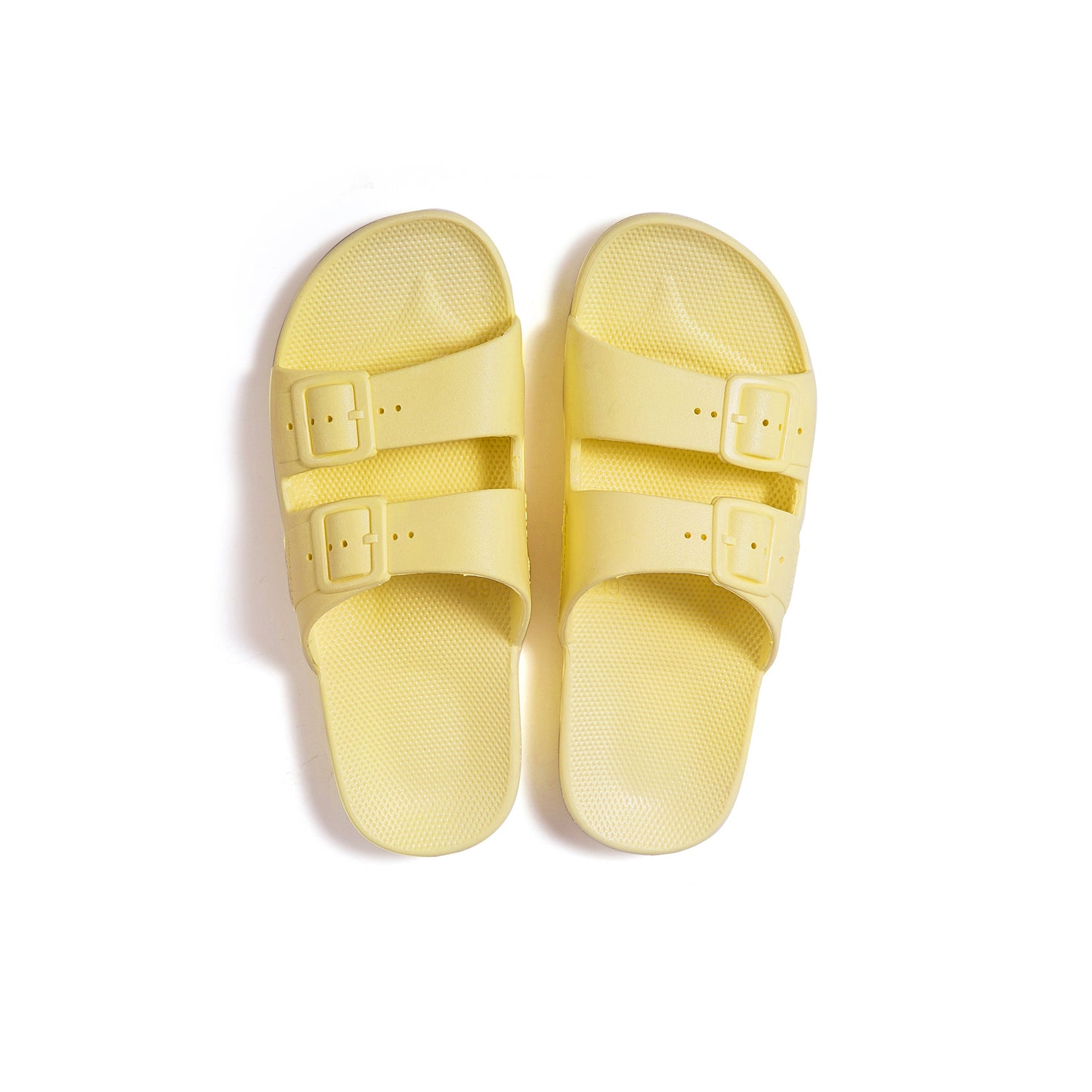 Freedom Moses Slides